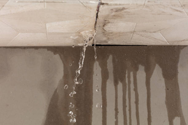 Professional Burst Pipe Cleanup technician working in Trussville, AL